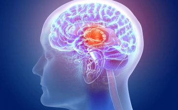 cosas que no sabías del cerebro